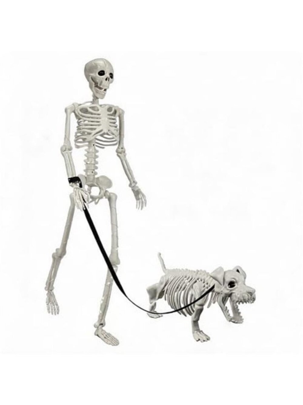 3.2 FT Human & Dog Skeleton Halloween Decorations Outdoor/Indoor